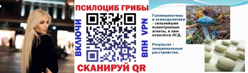 Псилоцибиновые грибы прущие грибы  Купить закладки  Саранск 